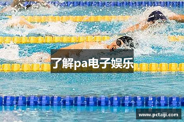 了解pa电子娱乐