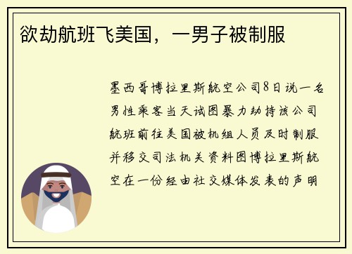 欲劫航班飞美国，一男子被制服